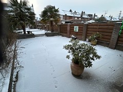 Rukkerweg 269007.JPG